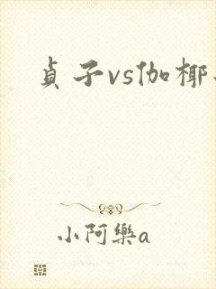贞子vs伽椰子