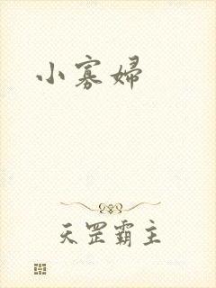 小寡妇封面