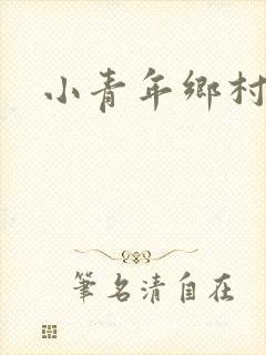 小青年乡村猎艳封面