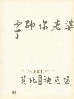 少帅你老婆又跑了