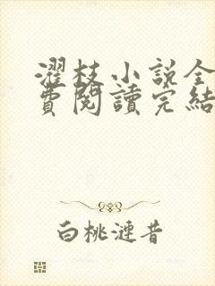 濯枝小说全文免费阅读完结封面