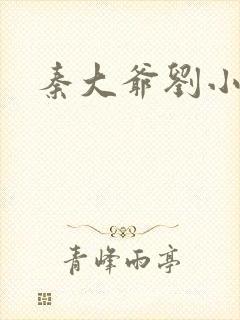 秦大爷刘小静