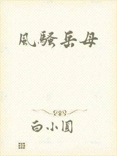 风骚岳母
