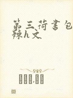 第三荷书包网高辣h文