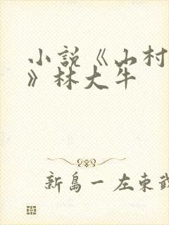 小说《山村情事》林大牛封面