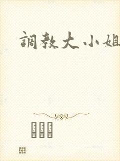 调教大小姐封面
