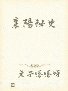 襄阳秘史