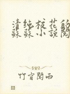 清纯校花的日常苏苏小说阅读全文封面