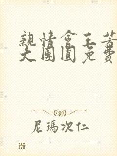 亲情会王芳高敏大团圆免费阅读封面