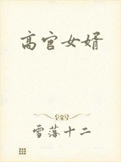 高官女婿封面