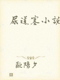 尿道塞小说