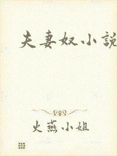 夫妻奴小说