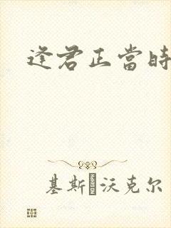 逢君正当时封面