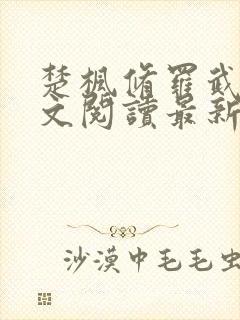 楚枫修罗武神全文阅读最新