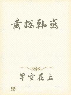 黄总韩燕封面
