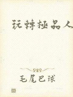 玩转极品人生封面