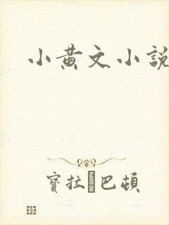 小黄文小说封面