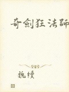 奇剑狂法师封面