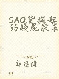 SAO货撅起你的贱屁股来封面
