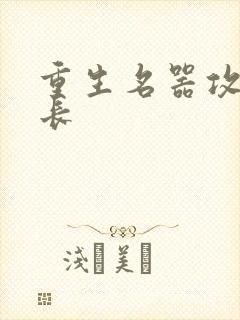 重生名器攻略兄长