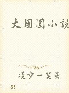 大团圆小说
