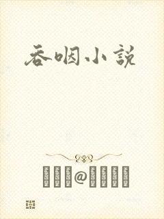 吞咽小说