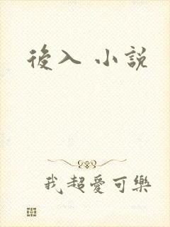 后入 小说封面