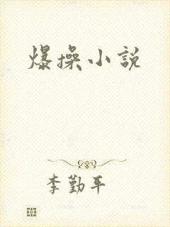 爆操小说