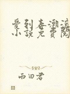 爱到春潮滚滚来小说免费阅读封面