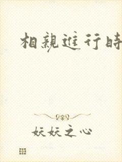 相亲进行时封面