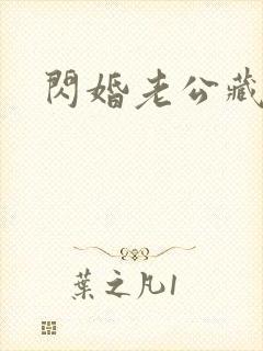 闪婚老公藏不住