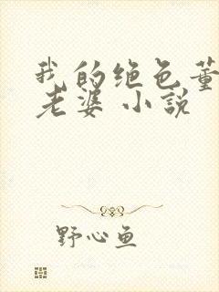 我的绝色董事长老婆 小说