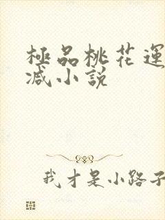 极品桃花运未删减小说