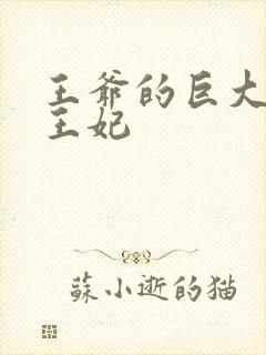 王爷的巨大进入王妃
