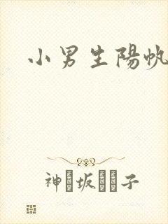 小男生阳帆