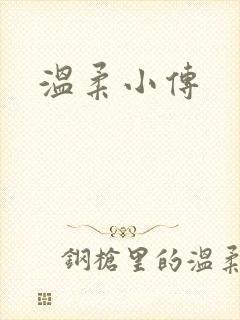 温柔小传封面