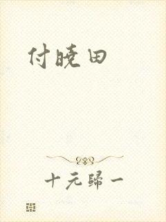 付晓田