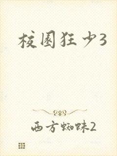 校园狂少3