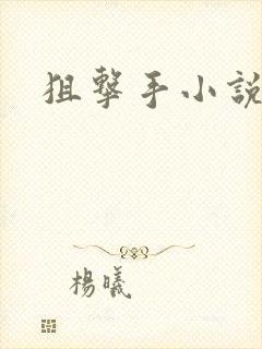 狙击手小说