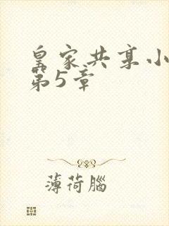 皇家共享小公主第5章