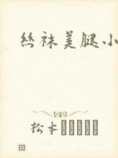 丝袜美腿小说