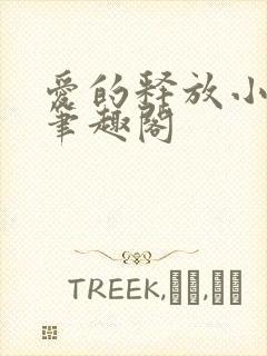 爱的释放小说 笔趣阁