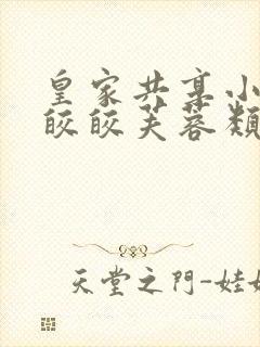 皇家共享小公主皎皎芙蓉类小说