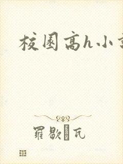 校园高h小说