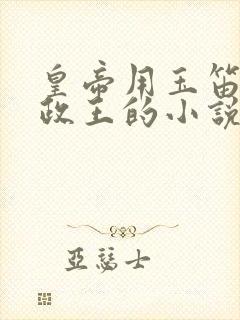 皇帝用玉笛整摄政王的小说