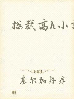 总裁高h小说