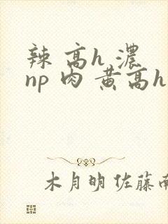 辣 高h 浓 np 肉 黄高h