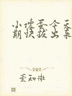 小坏蛋今天危险期快拔出来封面
