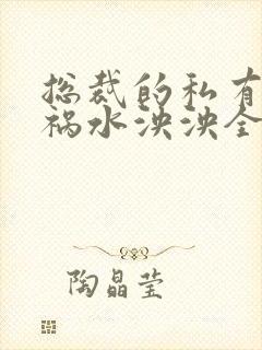 总裁的私有宝贝祸水泱泱全文阅读