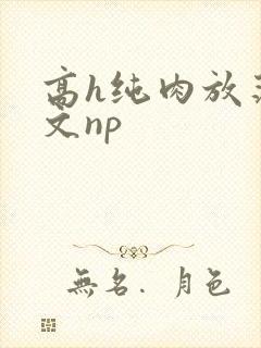 高h纯肉放荡h文np